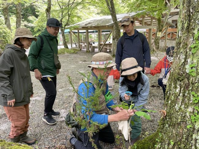 虫眼鏡で何が見えるかな?