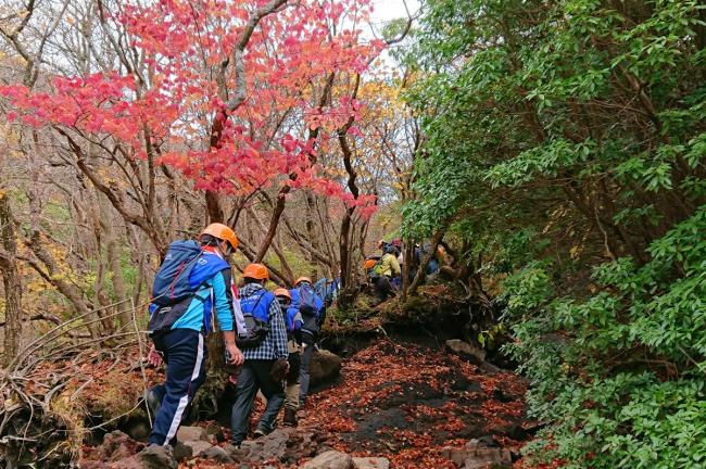 登山道はすっかり秋の装いです