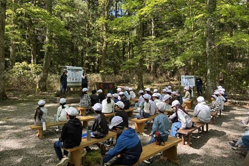 地球温暖化と森の役割について学ぶよ！