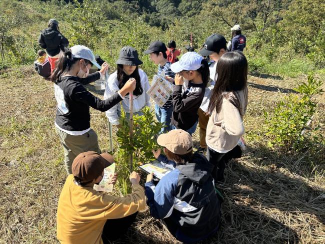 この木は身長(高さ)何センチ？？