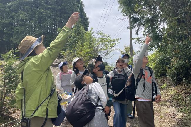 あそこに実がなっているよ!