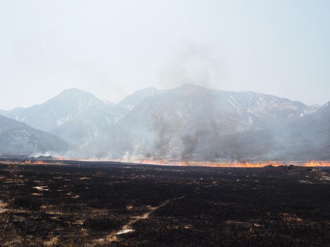 どんどん広がる黒い絨毯