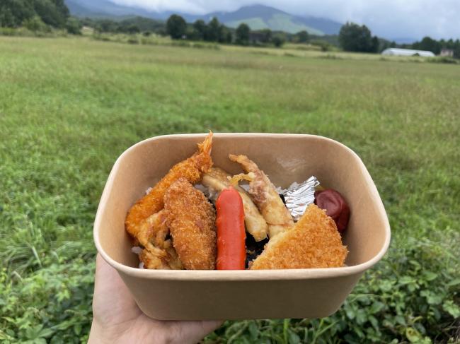 坊ガツル湿原で昼食の予定でしたが、今にも雨が降りそうだったので、お弁当はお持ち帰りに