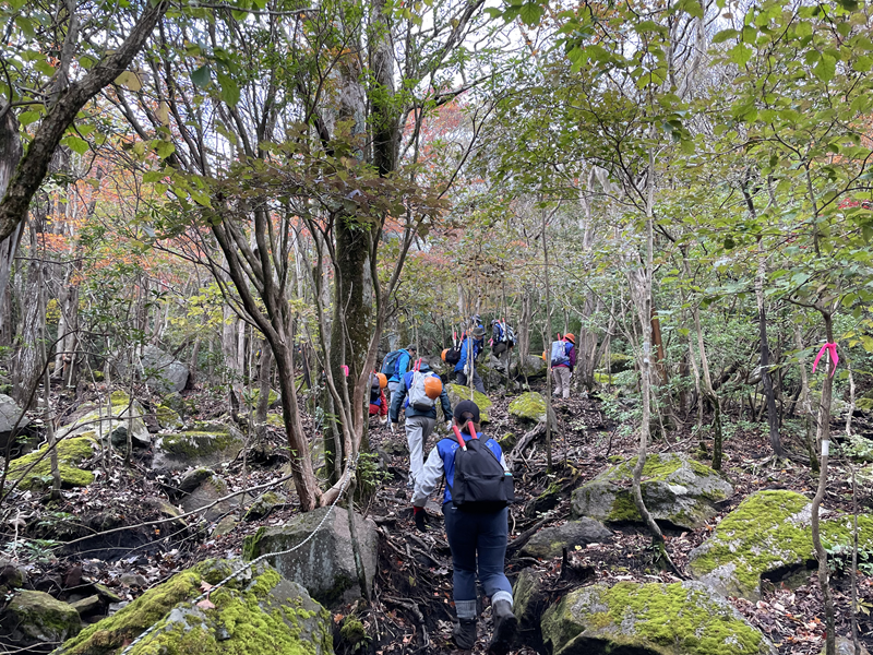 山奥になるにつれ、急斜面が増え、足場の悪いところも進んでいきます