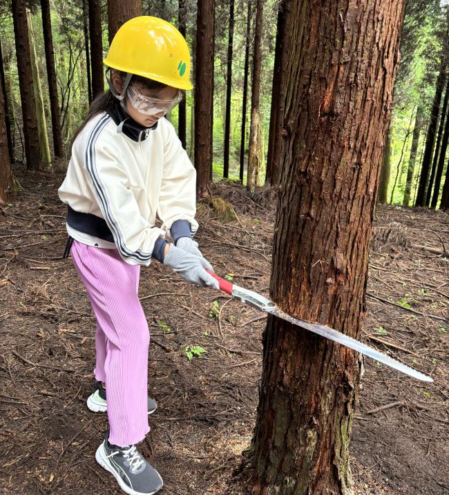 慣れないノコギリにも頑張ります！