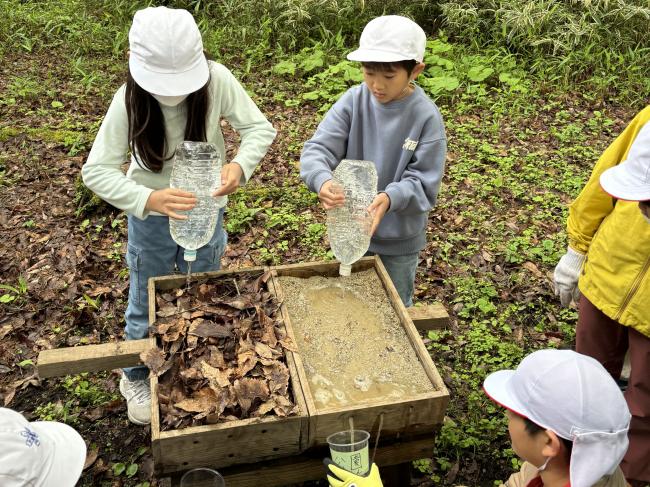 【森の実験】森の「水をたくわえる」役割を実験で確かめよう
