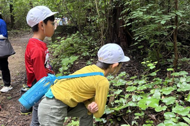 生き物がいないか探すよ！