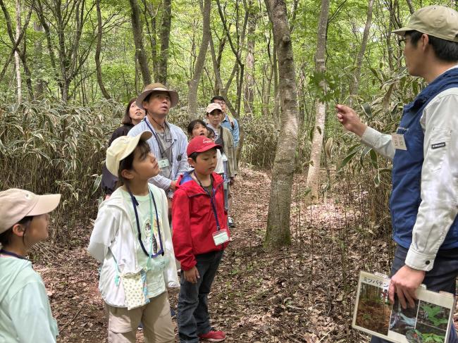 【森の探検】植物などを観察しながら森の中を探検♪