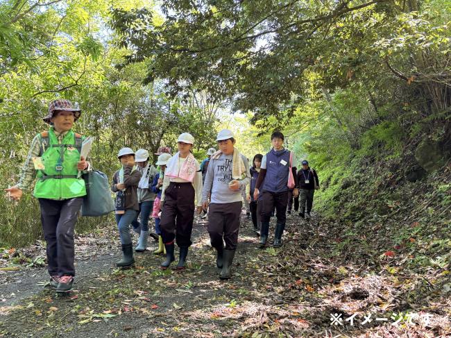 【森林散策】散策路を歩きながら、森のことを学ぼう！（出展：九電みらい財団）※写真はイメージ