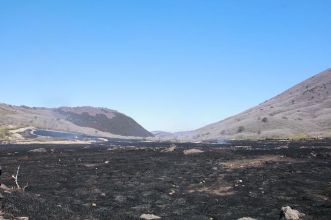 湿原全体が燃え切った様子