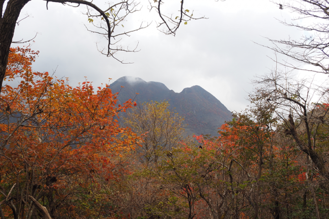 遅れている紅葉も見れました