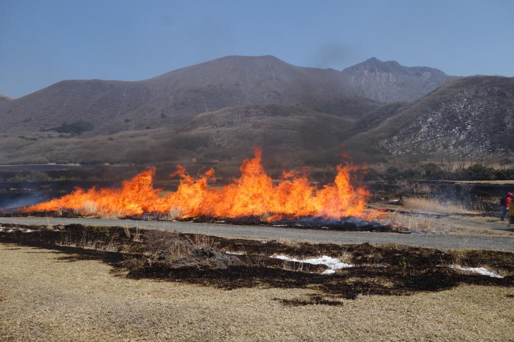 今年も坊ガツル湿原の「野焼き」のシーズンがやってきました!