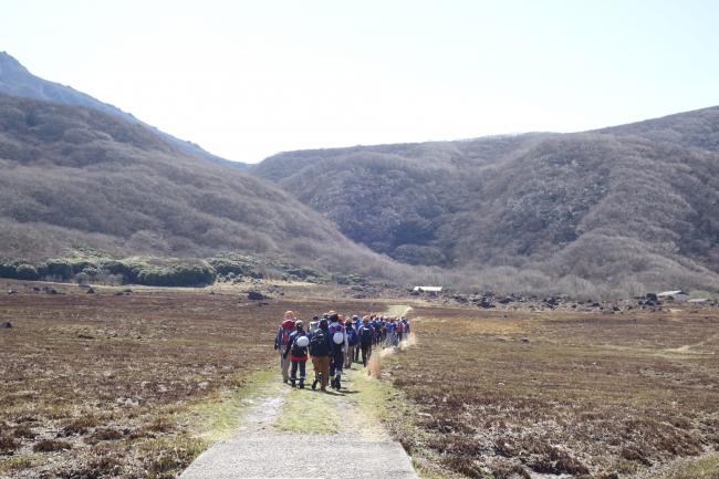 まだ、野焼きの後の茶色が目立ちますね～