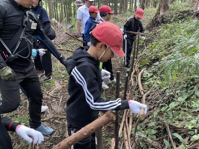 杭と杭の間に枝をいれていくよ
