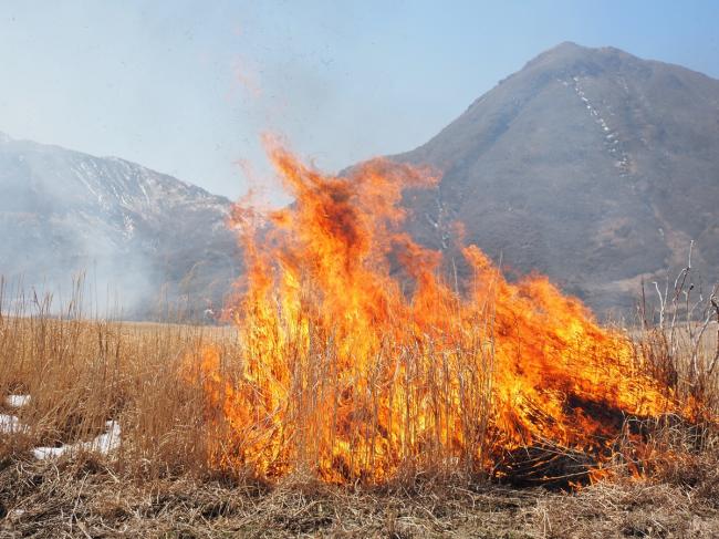 時折ものすごい火柱も！