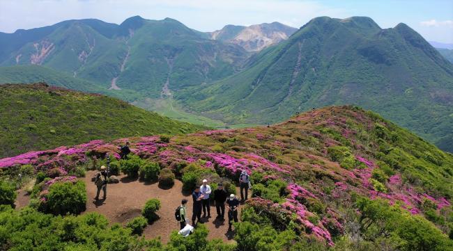 平治岳本峰山頂上空から見たミヤマキリシマ