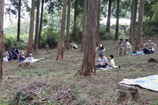 緑に囲まれた森の中で、ゆったりとしたひととき。