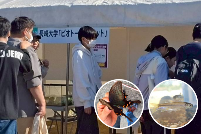 作って発見!諫早ビオトープの生き物たち【生き物の紙工作もできるよ】(長崎大学サークルビオトープパレット)