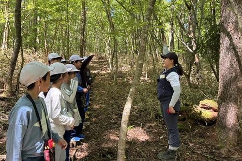 この実はどの木から落ちてきたかな？