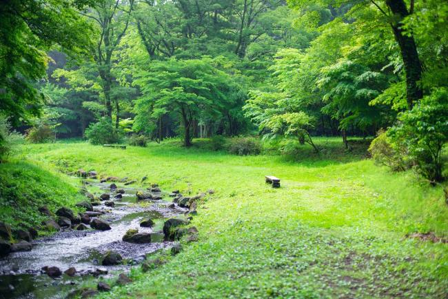 川の水は冷たくて気持ちいいよ♪