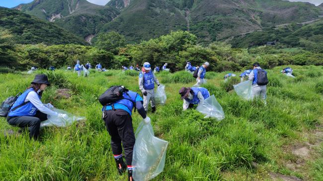 大群落のエリアでも地道な抜き取り作業が続きます！