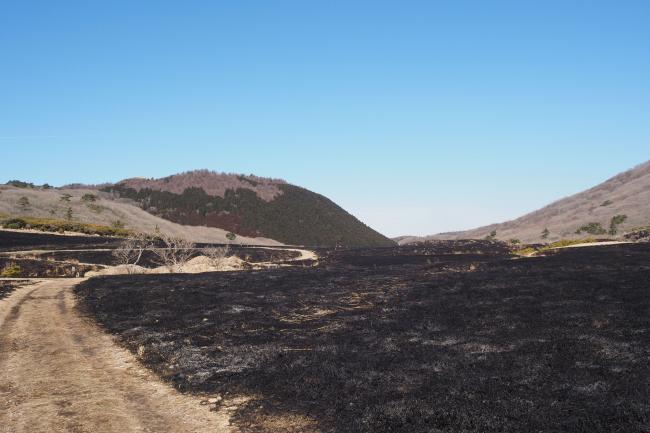 青空とくじゅう連山を背景に、作業を終えた湿原一帯は、一面黒い絨毯に