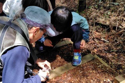 森にいる小さな昆虫にも注目!