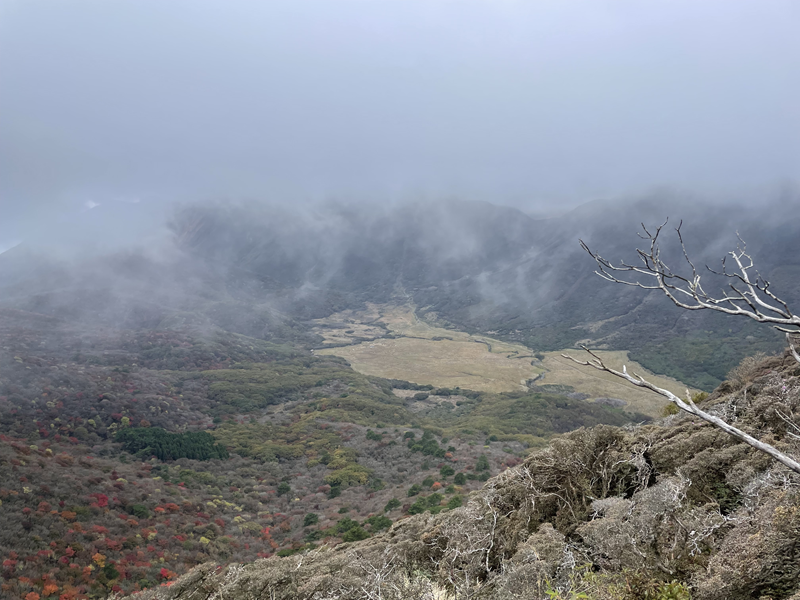平治岳周辺の天候が刻一刻と状況が悪くなってきたため、1時間程で作業を終了し、坊ガツルへ下山しました