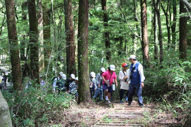 森の散策(^^♪  どんな植物と出会うかな？