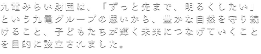 九電みらい財団は、「ずっと先まで明るくしたい。」という九電グループの思いから、豊かな自然を守り続けること、子どもたちが輝く未来につなげていくことを目的に設立されました。
